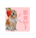 誠志郎農園（個別スタンプ：2）