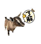 誠志郎農園（個別スタンプ：3）