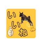 誠志郎農園（個別スタンプ：4）