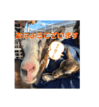 誠志郎農園（個別スタンプ：7）