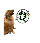 誠志郎農園（個別スタンプ：11）