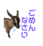 誠志郎農園（個別スタンプ：13）