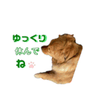誠志郎農園（個別スタンプ：19）