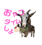 誠志郎農園（個別スタンプ：25）
