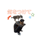 誠志郎農園（個別スタンプ：26）