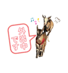 誠志郎農園（個別スタンプ：27）