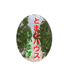 誠志郎農園（個別スタンプ：29）