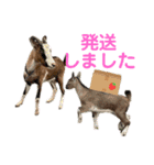 誠志郎農園（個別スタンプ：30）