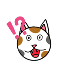 にゃんだふるなスタンプ（個別スタンプ：4）