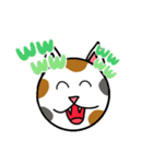 にゃんだふるなスタンプ（個別スタンプ：6）