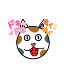 にゃんだふるなスタンプ（個別スタンプ：8）