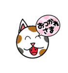 にゃんだふるなスタンプ（個別スタンプ：11）