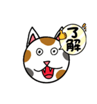 にゃんだふるなスタンプ（個別スタンプ：14）