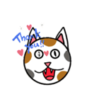 にゃんだふるなスタンプ（個別スタンプ：16）