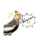 鳥が色々言うスタンプ#2（個別スタンプ：9）