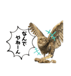 鳥が色々言うスタンプ#2（個別スタンプ：12）