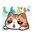 絵面の強い猫（個別スタンプ：9）