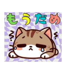 絵面の強い猫（個別スタンプ：15）