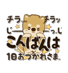 柴犬・茶色い犬2024『文字だらけで励ます』（個別スタンプ：5）