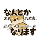 柴犬・茶色い犬2024『文字だらけで励ます』（個別スタンプ：7）