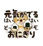 柴犬・茶色い犬2024『文字だらけで励ます』（個別スタンプ：10）