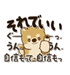 柴犬・茶色い犬2024『文字だらけで励ます』（個別スタンプ：11）