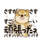 柴犬・茶色い犬2024『文字だらけで励ます』（個別スタンプ：21）