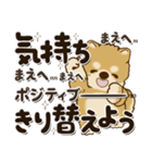 柴犬・茶色い犬2024『文字だらけで励ます』（個別スタンプ：24）