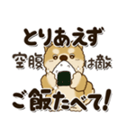 柴犬・茶色い犬2024『文字だらけで励ます』（個別スタンプ：30）