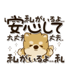 柴犬・茶色い犬2024『文字だらけで励ます』（個別スタンプ：31）