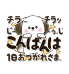 多分犬さん 2024『文字だらけで励ます』（個別スタンプ：5）