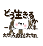 多分犬さん 2024『文字だらけで励ます』（個別スタンプ：32）