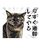 変態を罵るリアルシャー猫達（個別スタンプ：8）