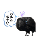 鳥が色々言うスタンプ#1（個別スタンプ：7）