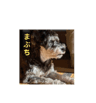 愛犬はなちゃんのん3（個別スタンプ：2）