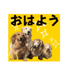 すずらんと仲間たちの巻（個別スタンプ：1）