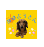 すずらんと仲間たちの巻（個別スタンプ：3）