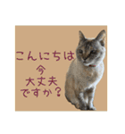 すずらんと仲間たちの巻（個別スタンプ：4）
