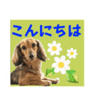 すずらんと仲間たちの巻（個別スタンプ：5）