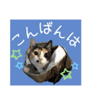 すずらんと仲間たちの巻（個別スタンプ：6）