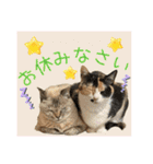 すずらんと仲間たちの巻（個別スタンプ：7）