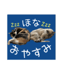 すずらんと仲間たちの巻（個別スタンプ：8）