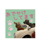 すずらんと仲間たちの巻（個別スタンプ：11）