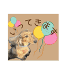 すずらんと仲間たちの巻（個別スタンプ：12）