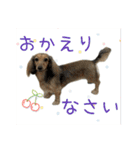 すずらんと仲間たちの巻（個別スタンプ：13）