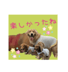 すずらんと仲間たちの巻（個別スタンプ：16）