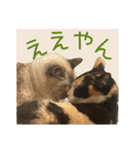 すずらんと仲間たちの巻（個別スタンプ：19）
