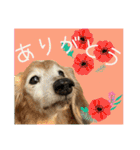 すずらんと仲間たちの巻（個別スタンプ：20）
