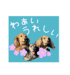 すずらんと仲間たちの巻（個別スタンプ：21）