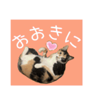 すずらんと仲間たちの巻（個別スタンプ：23）